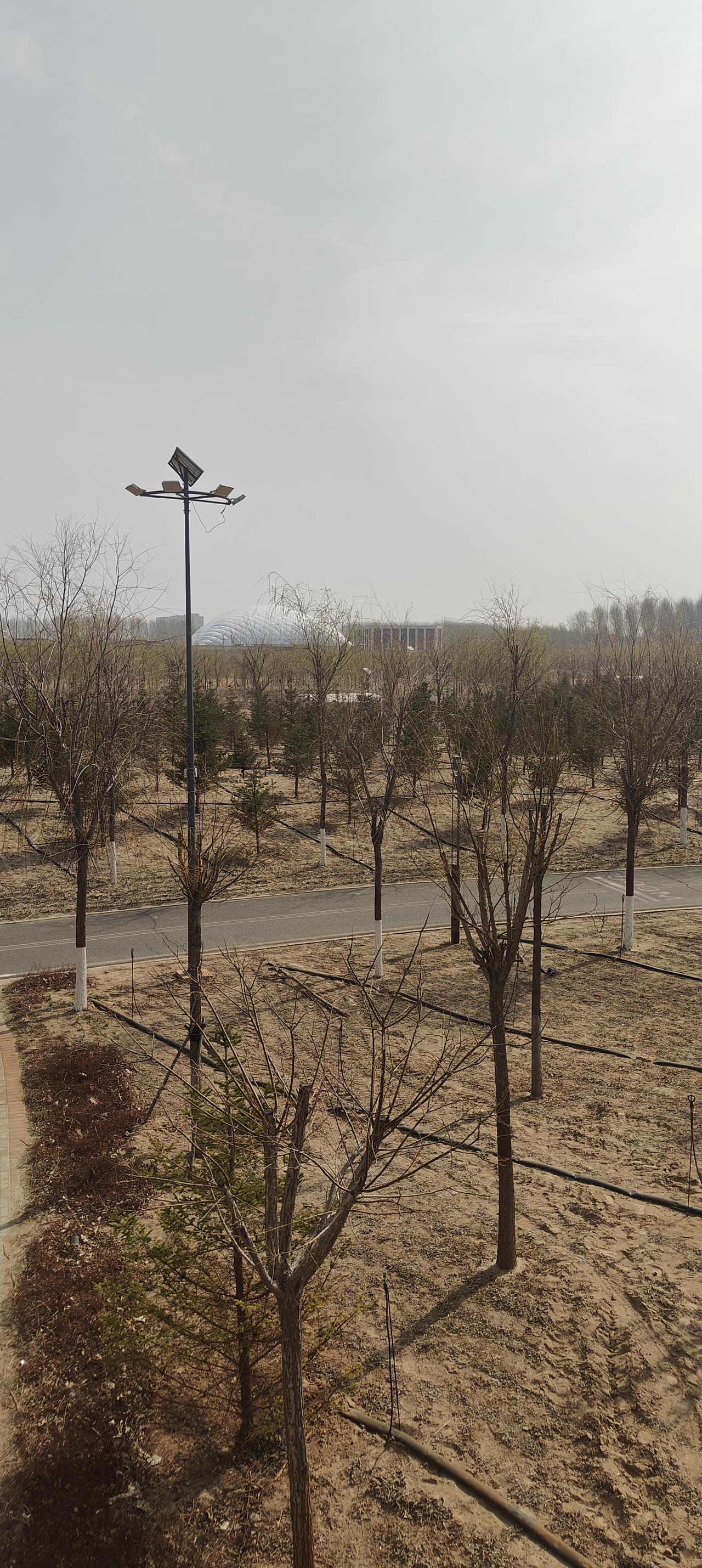美丽的林里公园！