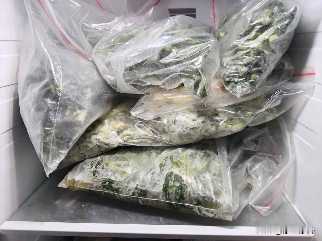 大冰箱，成了媳妇儿的“保鲜箱”

春天里，蔬菜长得太快了，
眼看着一天一个样，要