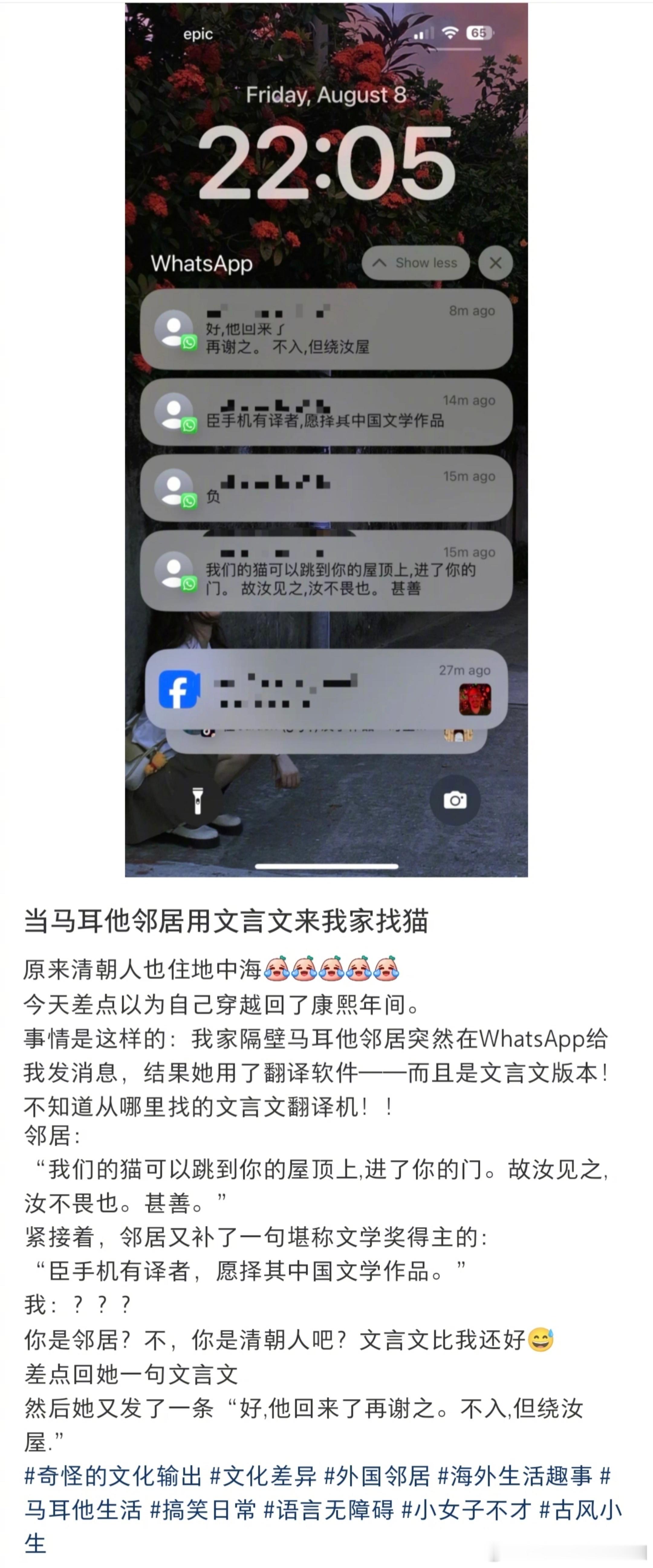 当网友的马耳他邻居用文言文来家里找猫 ​​​