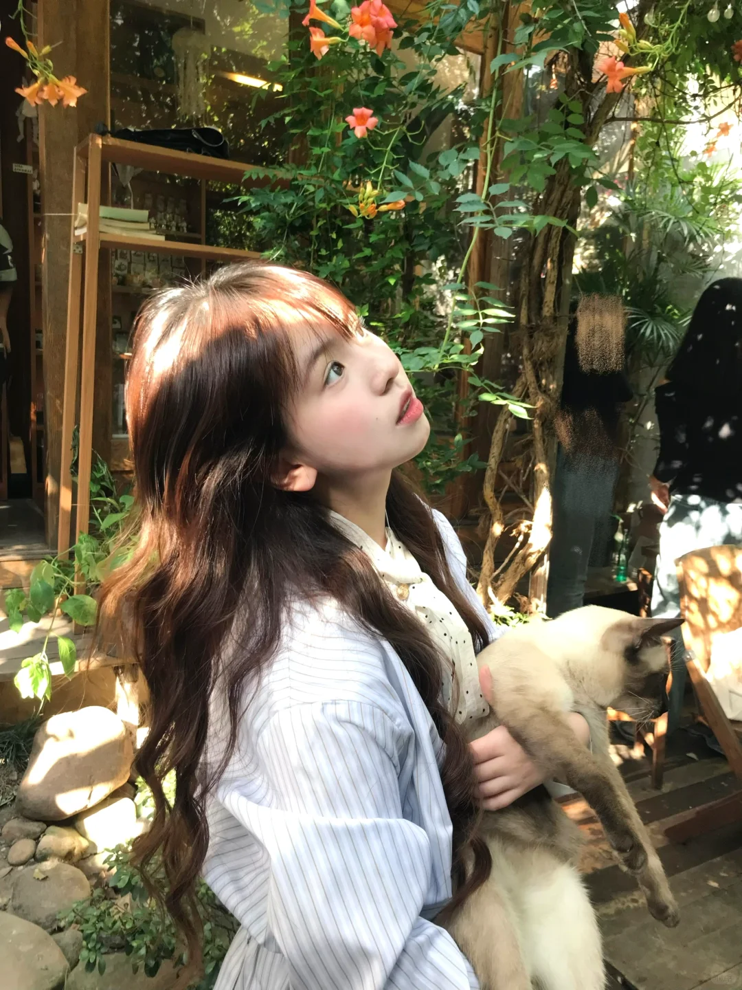 🐈˖º·𝗦𝗼 𝗰𝘂𝘁𝗲🐾•