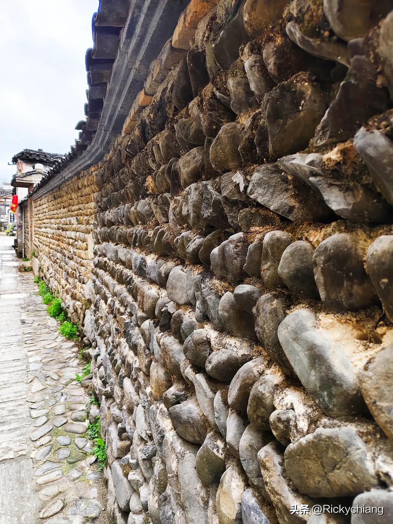 春日生活打卡季