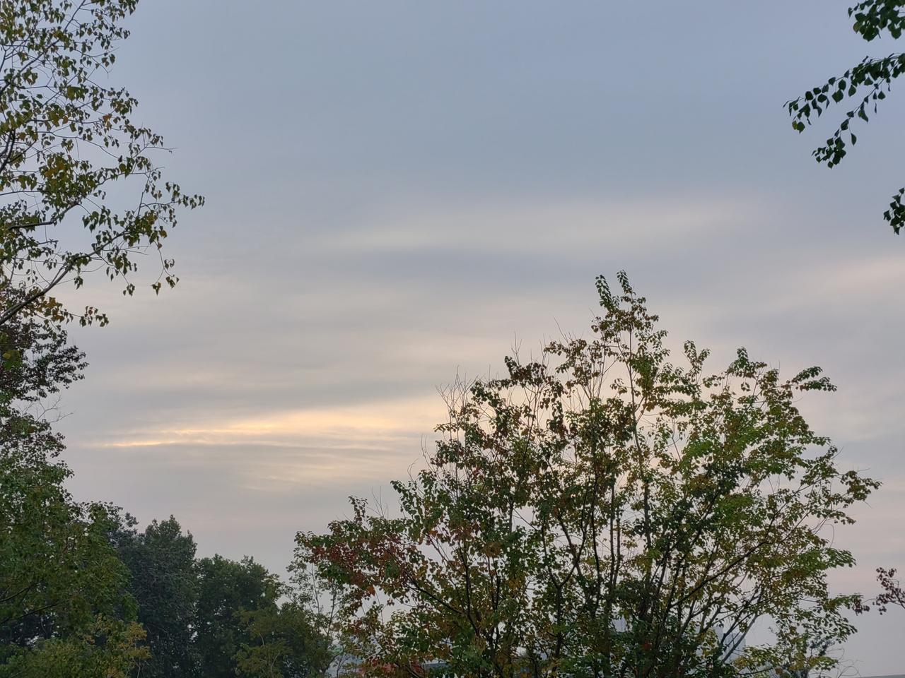 单位同事抱怨：今天温度不是又升了吗，咋那么冷？
因为霜降之后，天气预报需参考着来