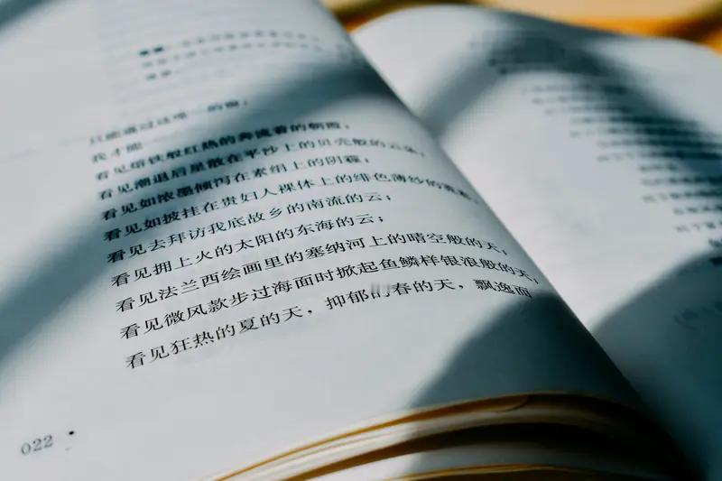 为什么精致的文章不一定出爆款? 就跟吃饭一样，精致的菜不一定好吃不一定下饭啊，吃