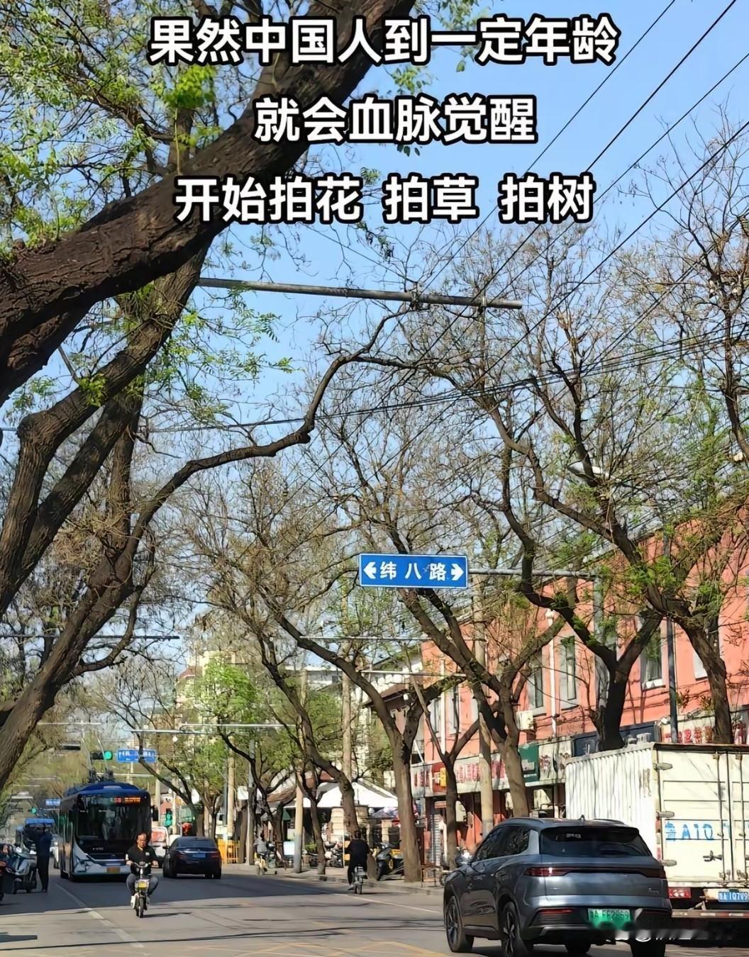 果然人到了一定年纪就会血脉觉醒，网友：我就说上网能学到真东西 