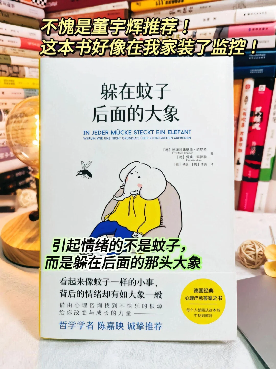 《躲在蚊子后面的大象》