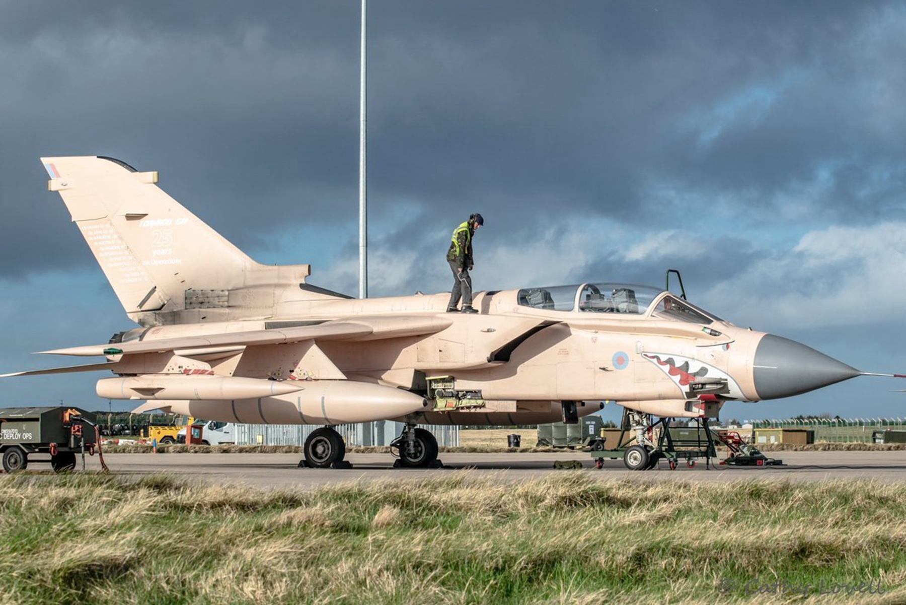 分享圖片：英國/德國/意大利帕納維亞“狂風”IDS戰鬥轟炸機 