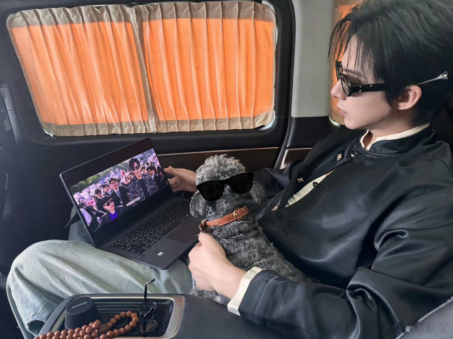 刘宇宁知道自己被做局了刘宇宁抱狗追书卷一梦 ​​​给小狗也带上眼睛了 被做局难过