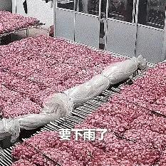 这事还登上人民日报了。前段时间，江苏两个孩子做了件暖心事，引得全网纷纷点赞。
