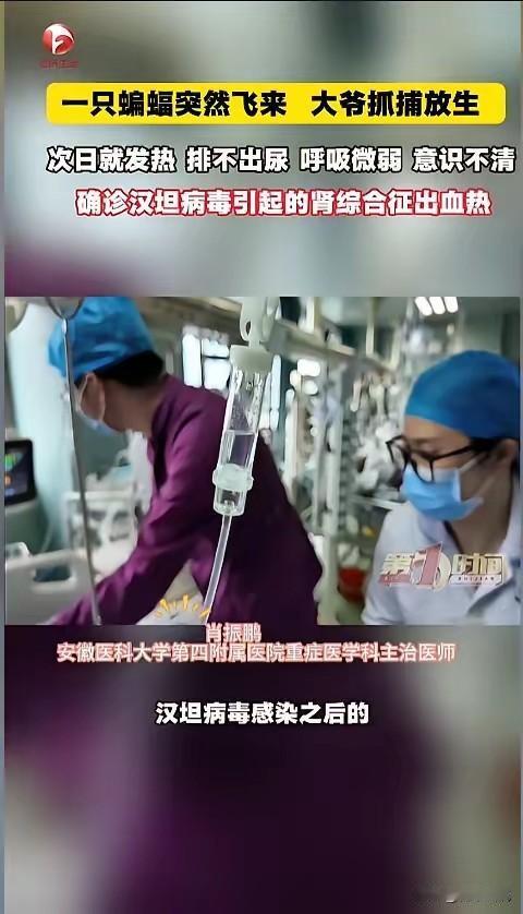 万万没想到，
一只蝙蝠差点要了大爷的命！
安徽巢湖，一只蝙蝠误入大爷家，大爷伸手