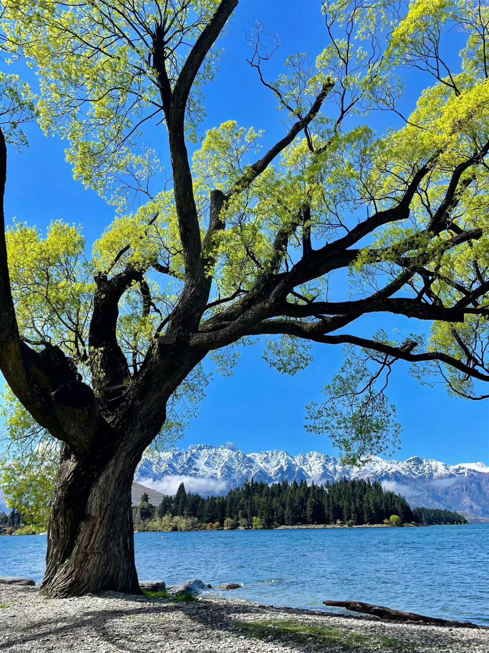 住进风景里 去想去的地方 风景如画的地方 享受大自然 风景都在路上