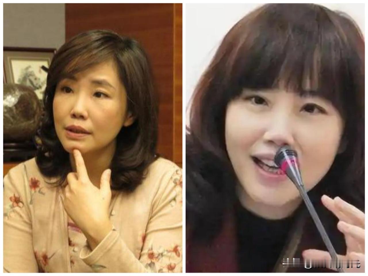 真没有想到啊，才上任不到三个月的国民党文传会主委尹乃菁，竟然以“自身健康因素”已