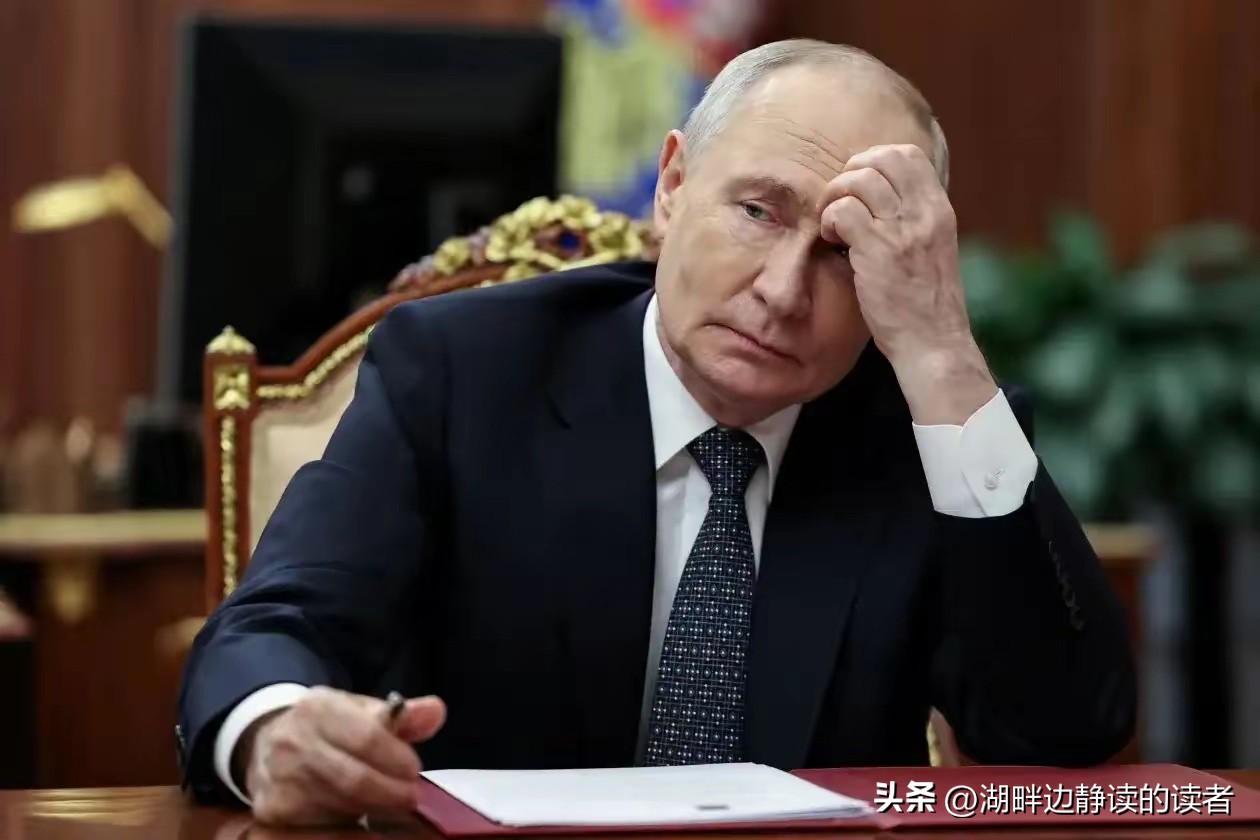 秦安：新华社深夜重磅消息，俄黑客称获取北约直接参与袭击俄领土证据，普京怎么办？
