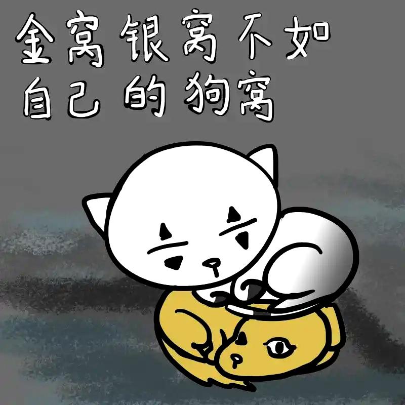 儿女家再好，待老人再好，老人也觉得这不是我的家，我的家在老窝。
————————