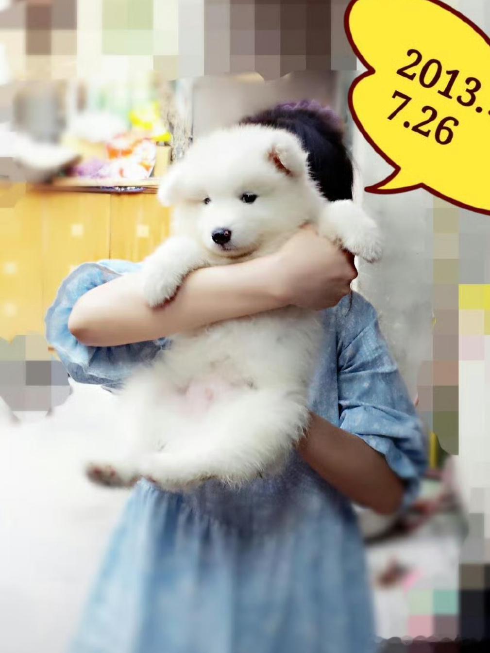 有时候觉得时间过得好慢啊（当下），但是偶尔停下来突然一想觉得时间过得好快啊，很多