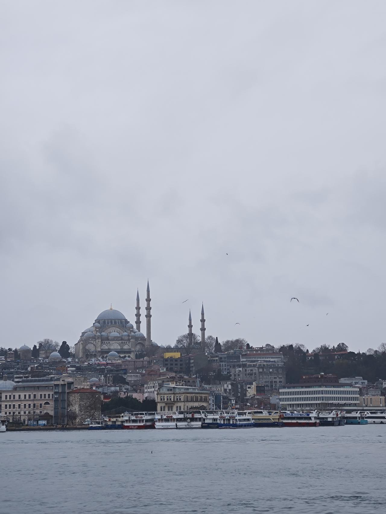 土耳其旅游结束

昨天，吃完早饭，早早的就被送到伊斯坦布尔机场，等到10点多，当