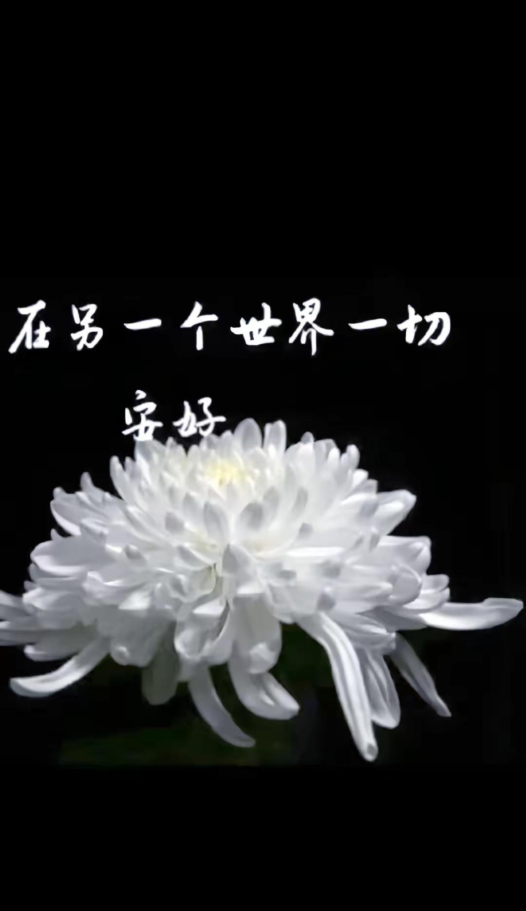 昨天还在谈笑风生，今日却已天人永隔，生命这本书，翻页太匆匆。从小一起长大接受不了