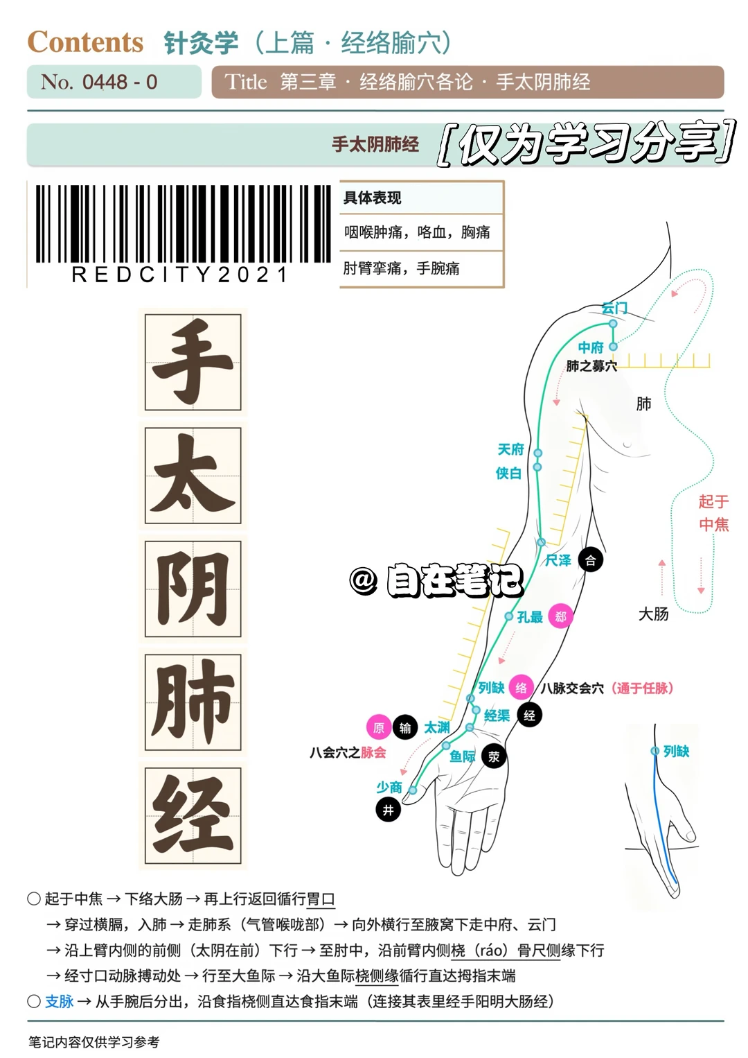 学习笔记448篇｜十二经络