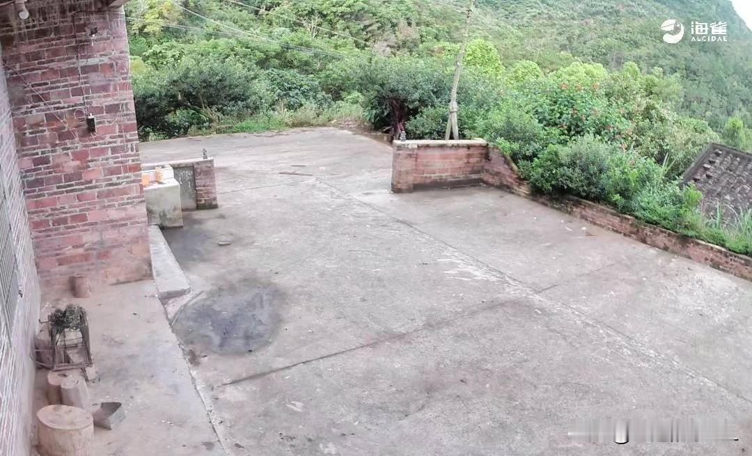 乡村小院，宁静悠然，绿意盎然，如世外桃源