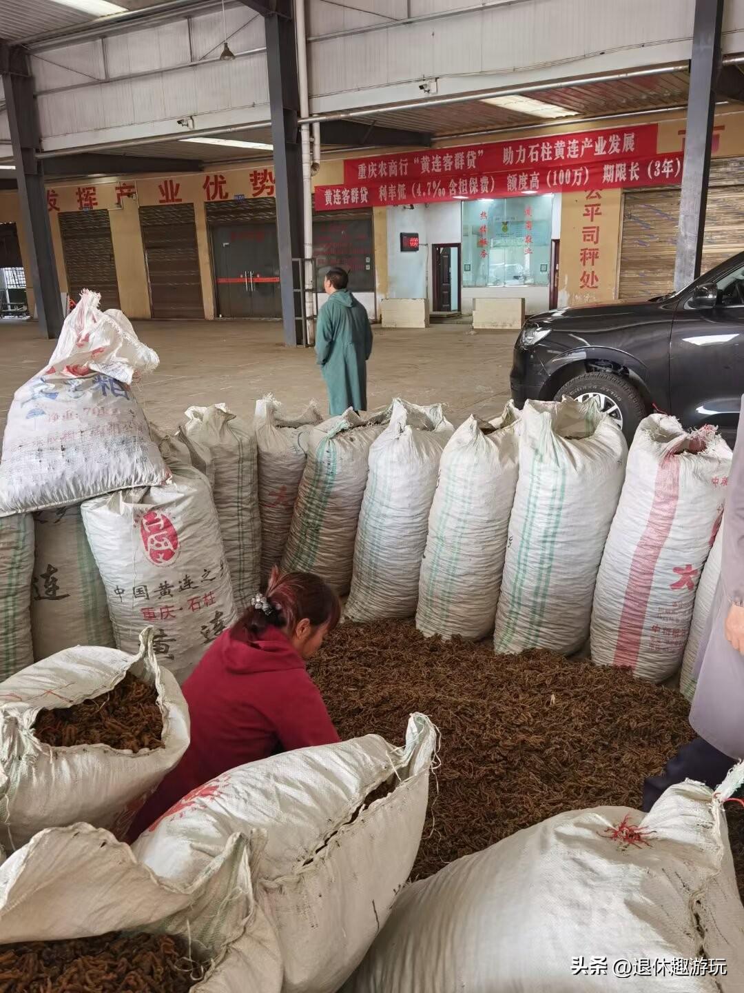 石柱黄水，是中国黄连之乡。黄连种植面积大，产量高，品质高。在黄水避暑，常在月亮湖
