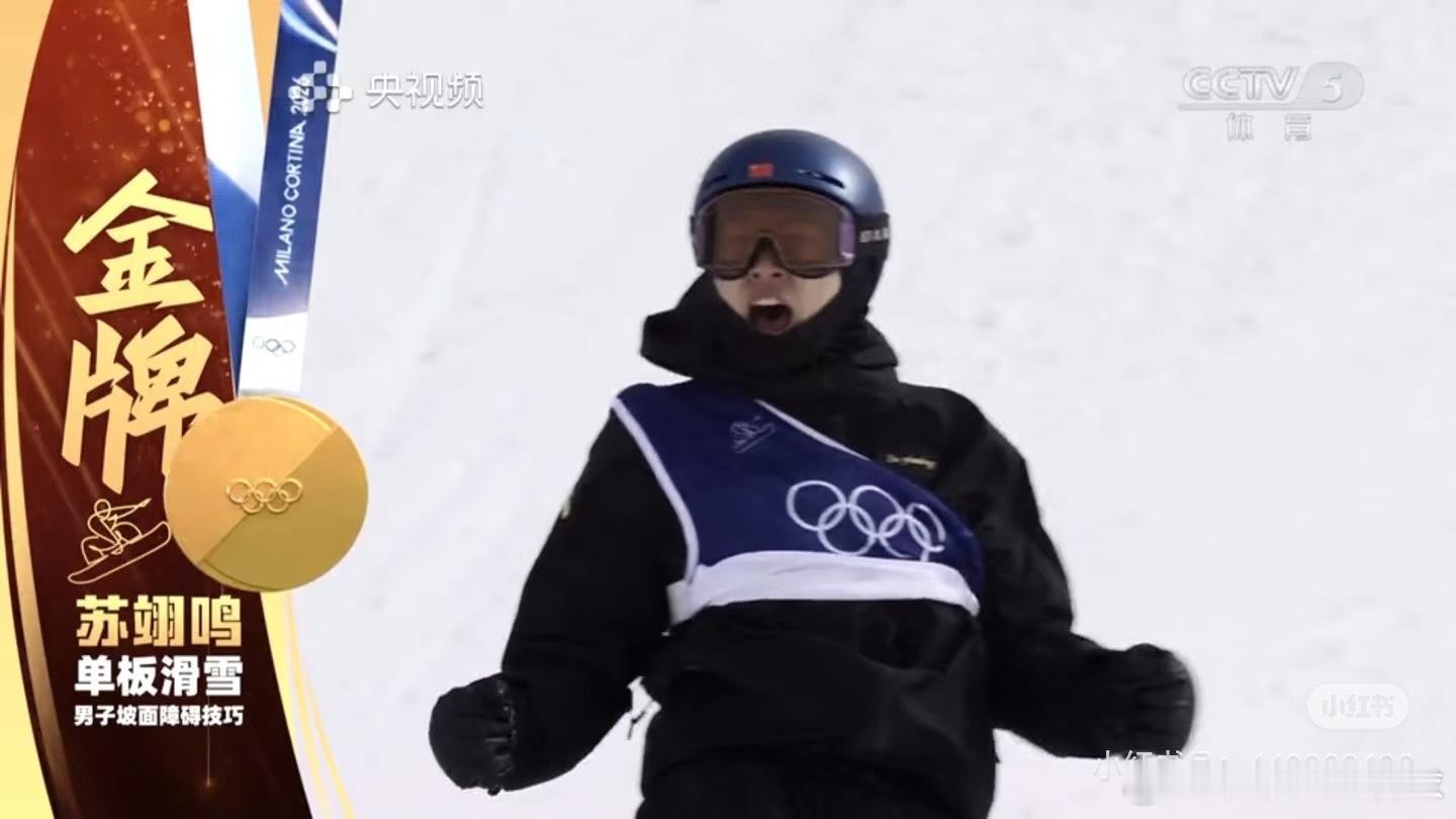 苏翊鸣单板滑雪坡障技巧决赛苏翊鸣金牌恭喜苏翊鸣夺冠 最好的生日礼物！为中国体育代