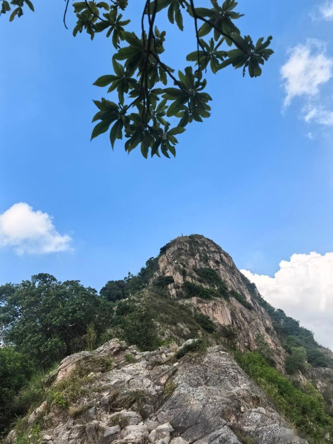神湾菠萝丫髻山那边的添记果场，中山这边，菠萝山搞定了  ​​​
