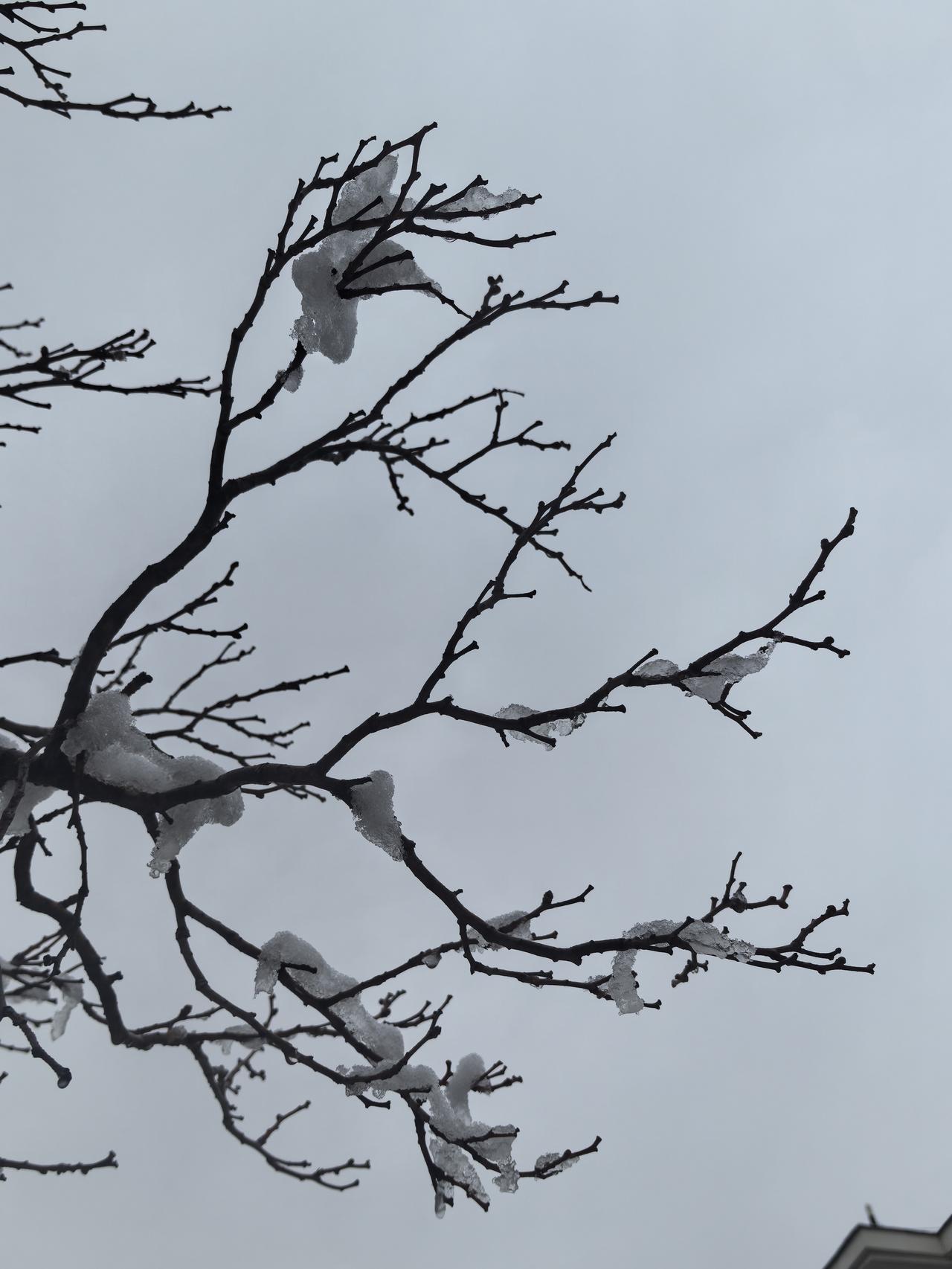 美国认为是石油结算绕开了美元体制。