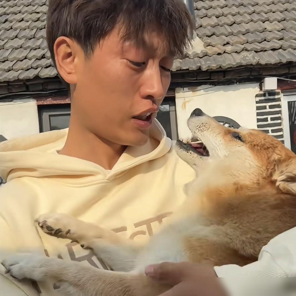 真是怪事。

刷到个视频，小柴佩琪硬了，主人还抱着它换了两套衣服拍视频。听说佩琪