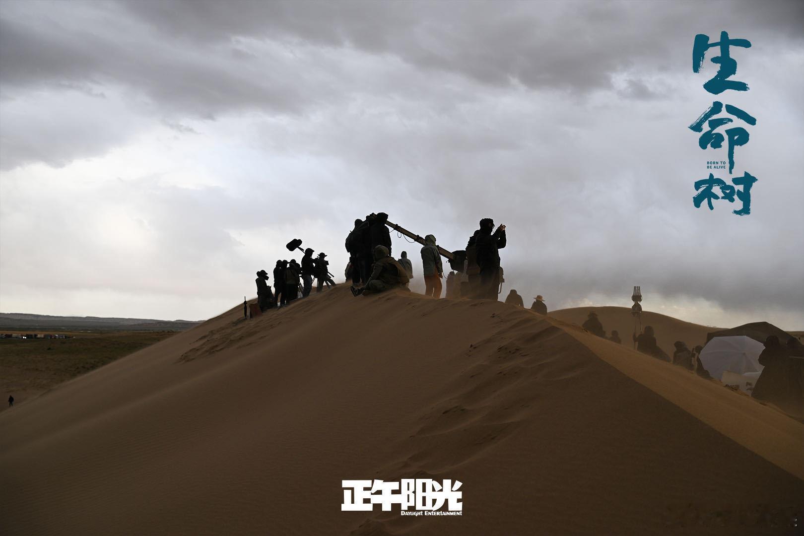 胡歌李光洁新剧难哄电视剧生命树 多杰重伤，林培生一句话，直接让我泪崩😭 