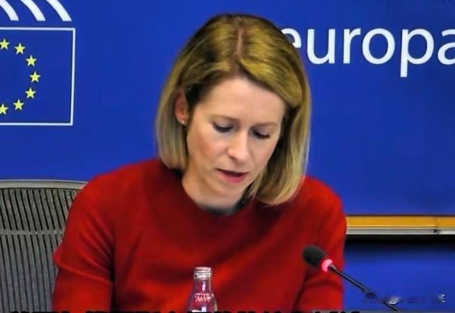 在布鲁塞尔的欧洲议会外交事务委员会（AFET）上，强调，欧盟必须避免出现“奖励侵