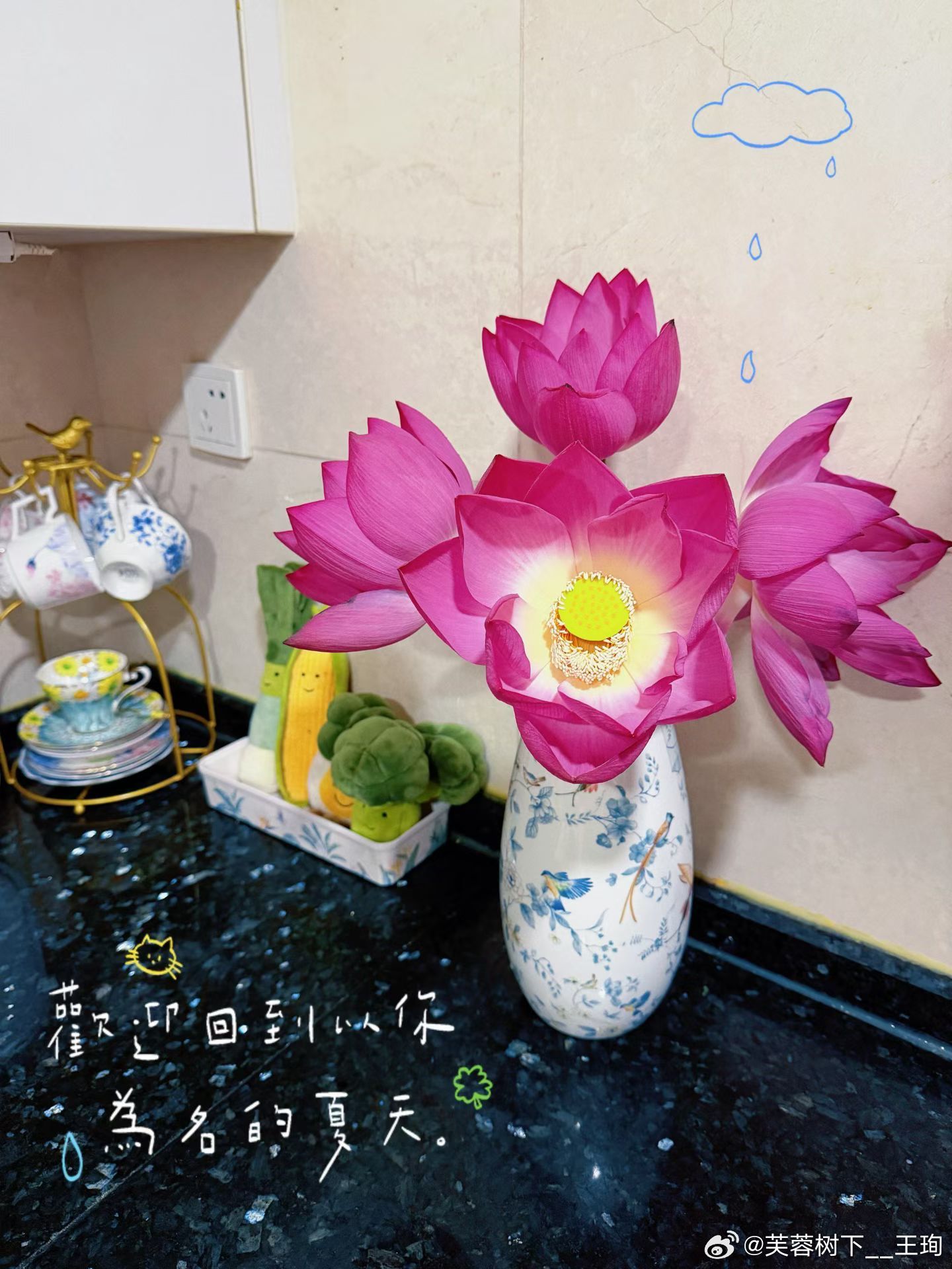 这两年都说在消费降级，我依旧需要一点美好的仪式感来支撑日常，拼命在琐碎如玻璃渣般