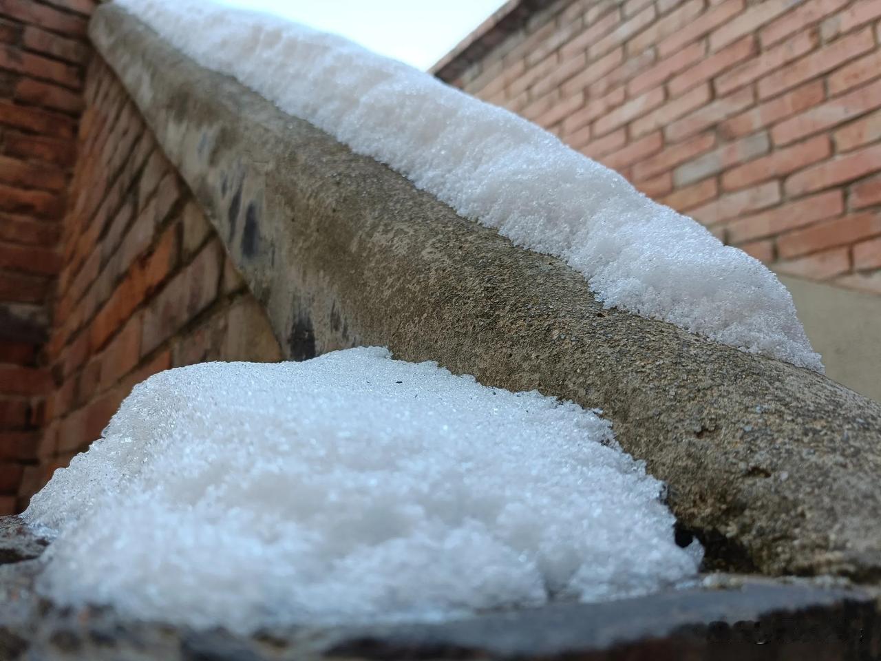 晒一下你相册里的雪景照片吧今冬麦盖三层被，来年枕着馒头睡！