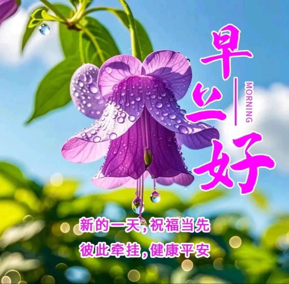 在这纷扰的世界里，
我们追逐着时光的脚步，
却在不经意间，
遗失了内心的宁静。