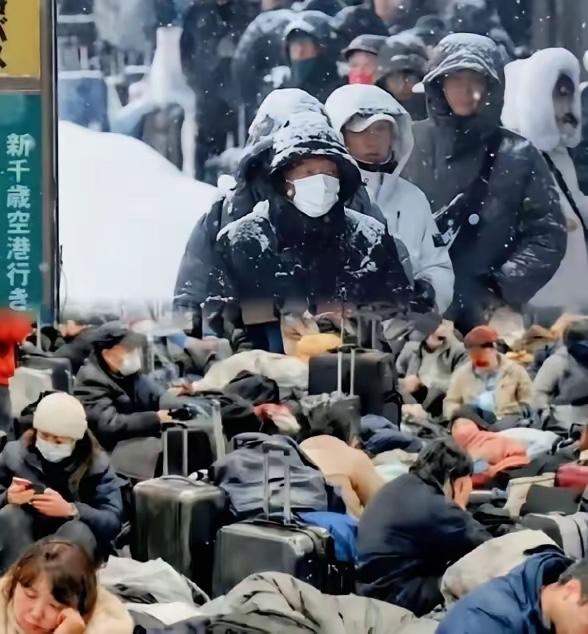 不听劝！北海道暴雪困数千中国游客，高喊国家包机接回引热议

    日本北海道突
