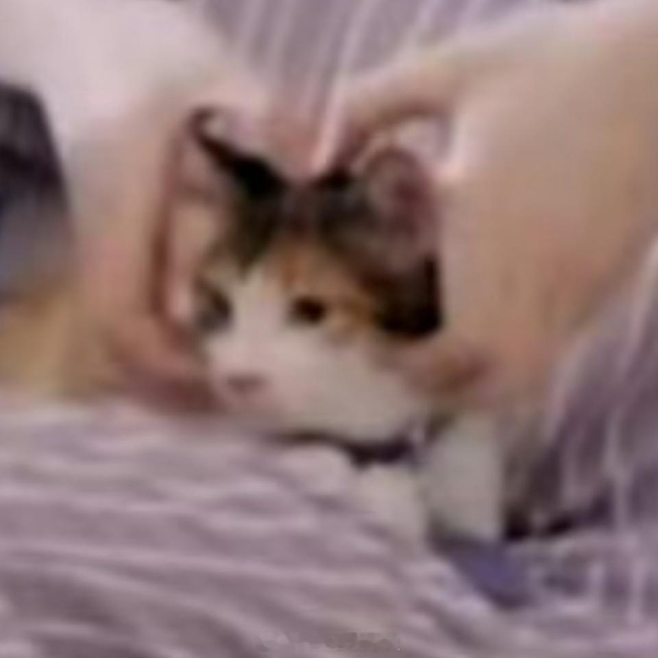 7410 貌似一家只有我妹妹比较高智 