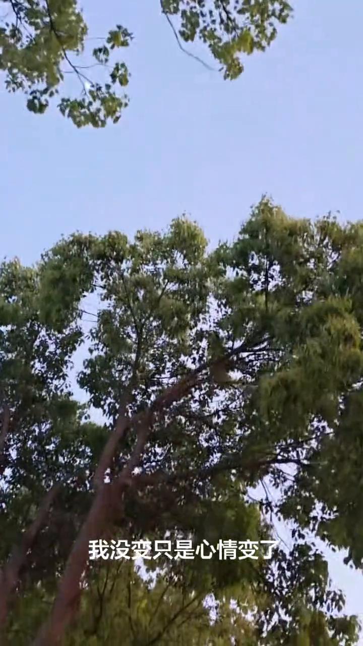 半生已过，保持沉默。
其实人最累的从来都不是身体，而是堵在心里的那些情绪。关关难