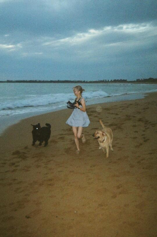 夏天和小狗们的胶片记忆 🎞️