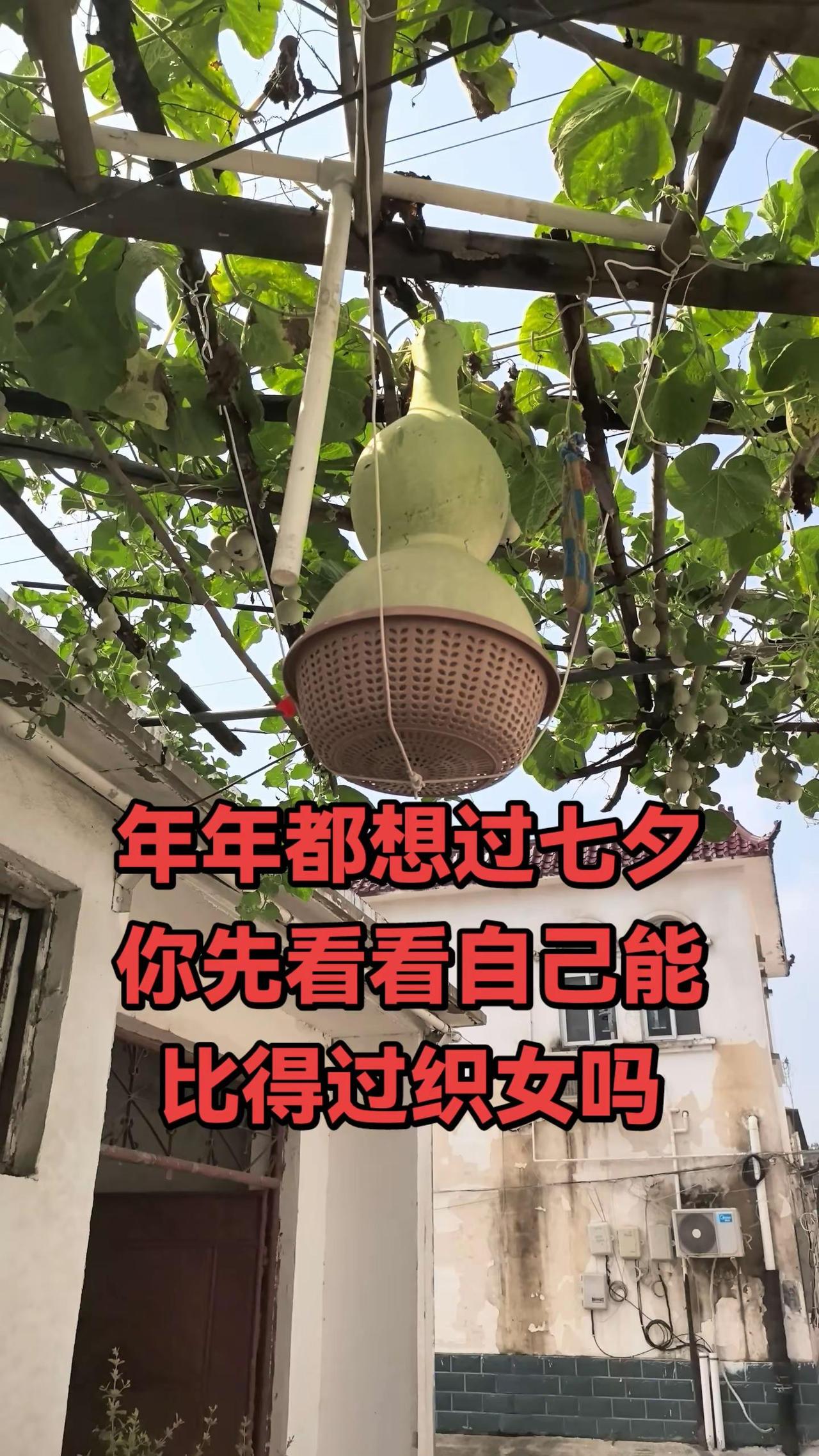 年年都想过七夕你先看看自己能比得过织女吗