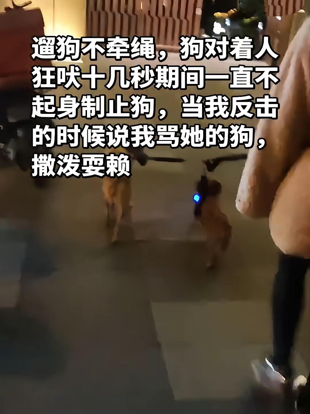 武汉某女狗主上街遛狗不牵绳，两只狗也未戴嘴套，任凭狗子撒欢乱跑。两狗兴奋，冲到对