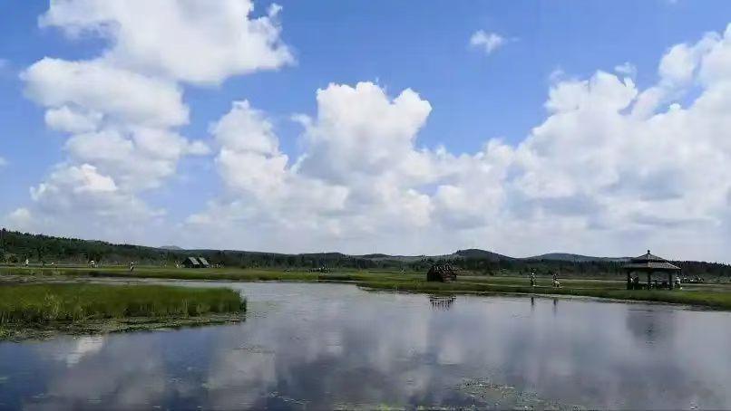 天选之人，往往都有以下10个特征， 1、他们心地善良仁厚，富有同情心和怜悯心；他