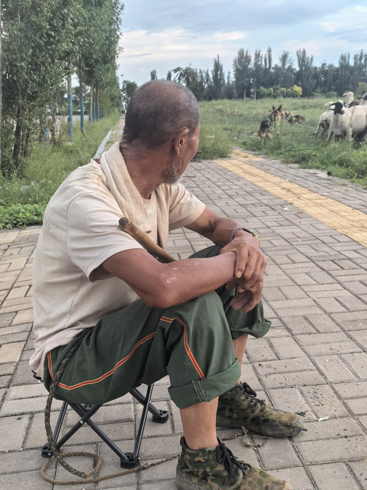 黄土坡的牧羊人
深蛙

乍看标题，不少人会下意识以为这是写黄土高原漫山遍野的黄土