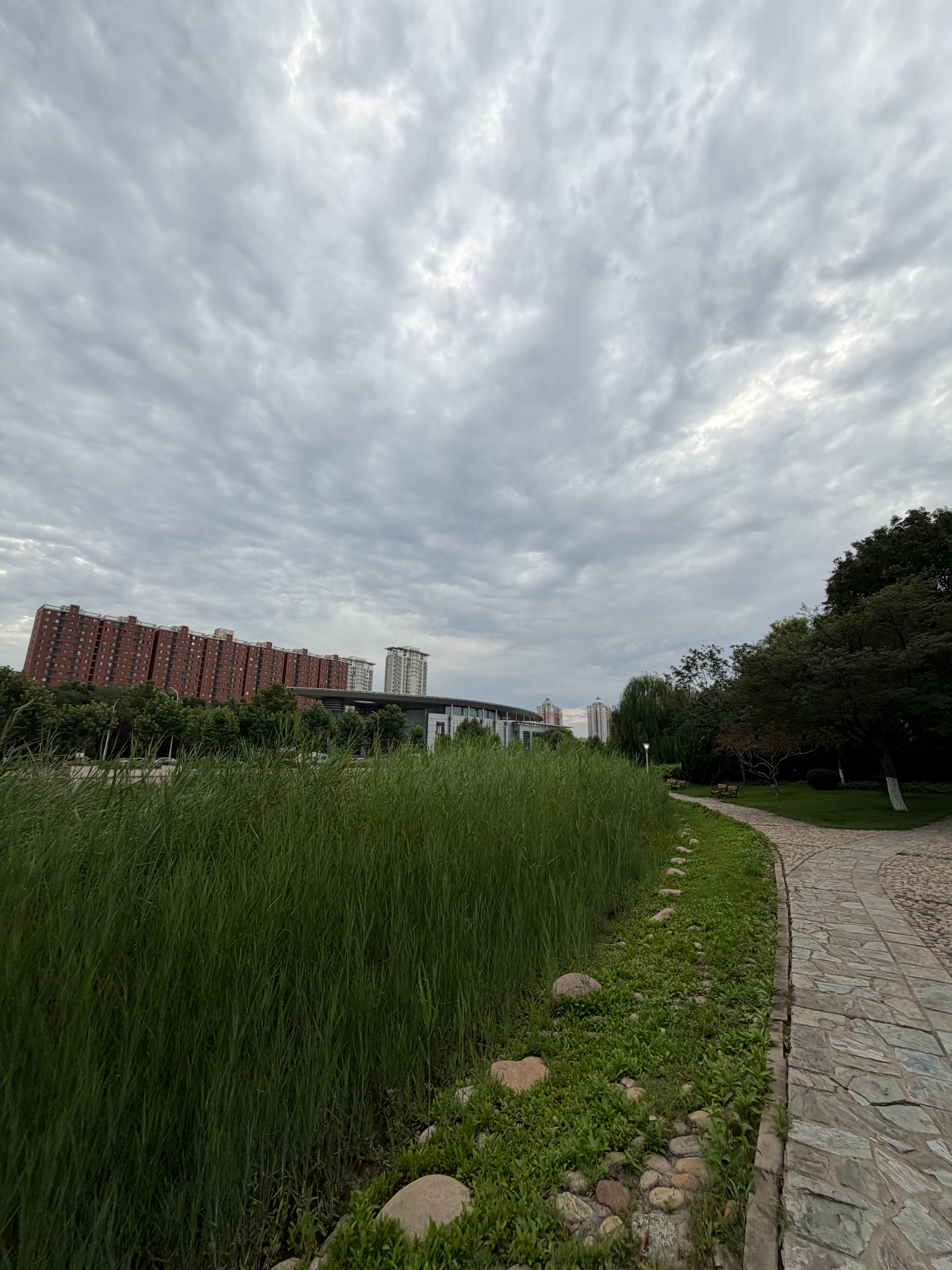 刚才出去跑了一圈，好久没跑步了，动一动还挺舒服的，天气有点闷热。一圈回来瘦二斤其
