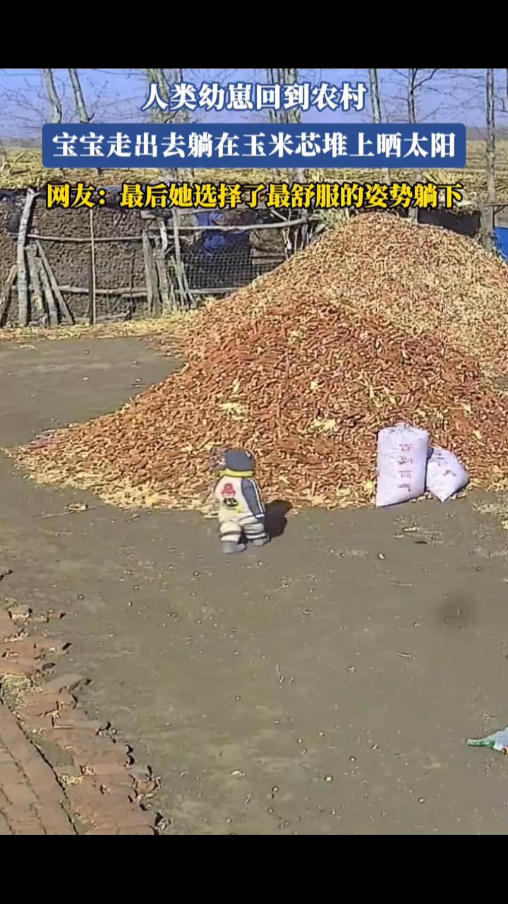 人类幼崽回到农村，宝宝走出去躺在玉米芯堆上晒太阳。
网友：最后她选择了最舒服的姿