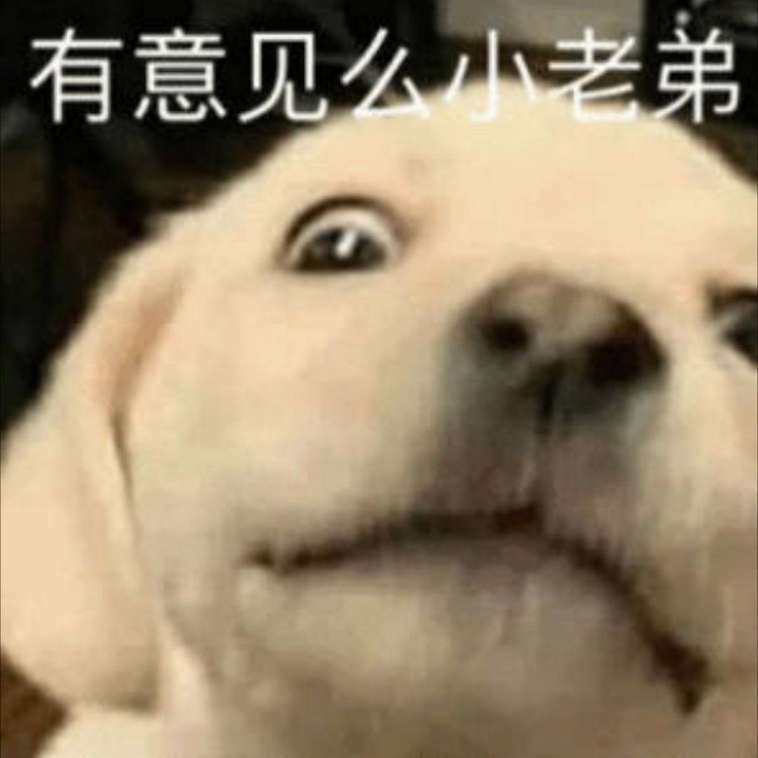 #Lisa最新ins文案# 翻译一下：老娘爱干啥干啥，又没邀请你看，要你管！碧事