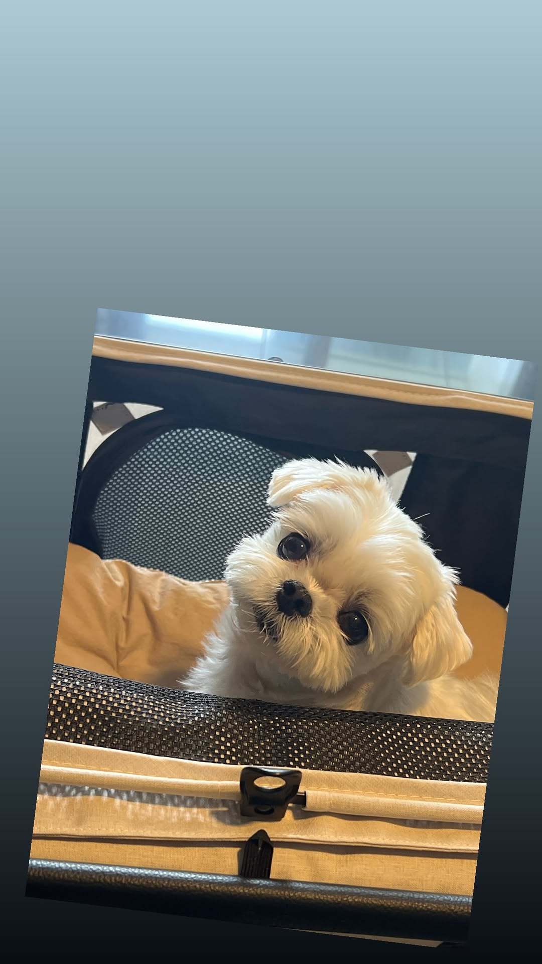 “CB百蓝_。260522利特 ins story更新： 