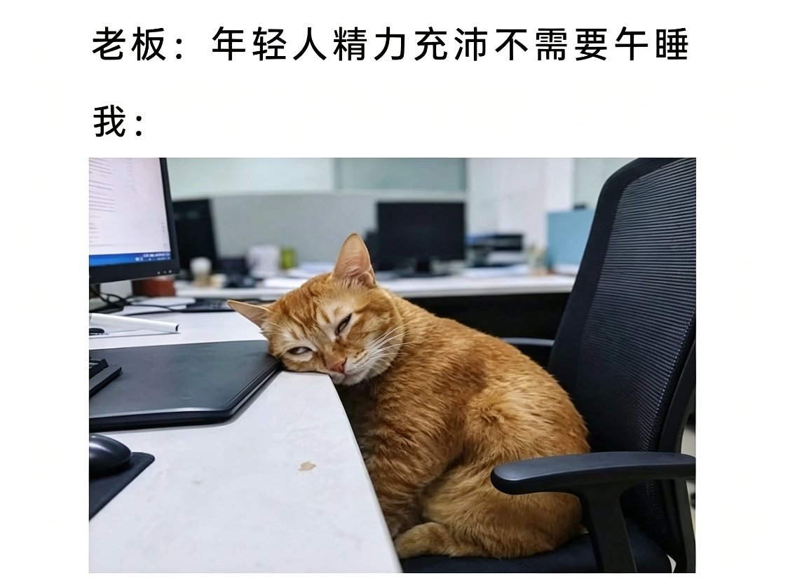 魂在打盹😴 ​​​