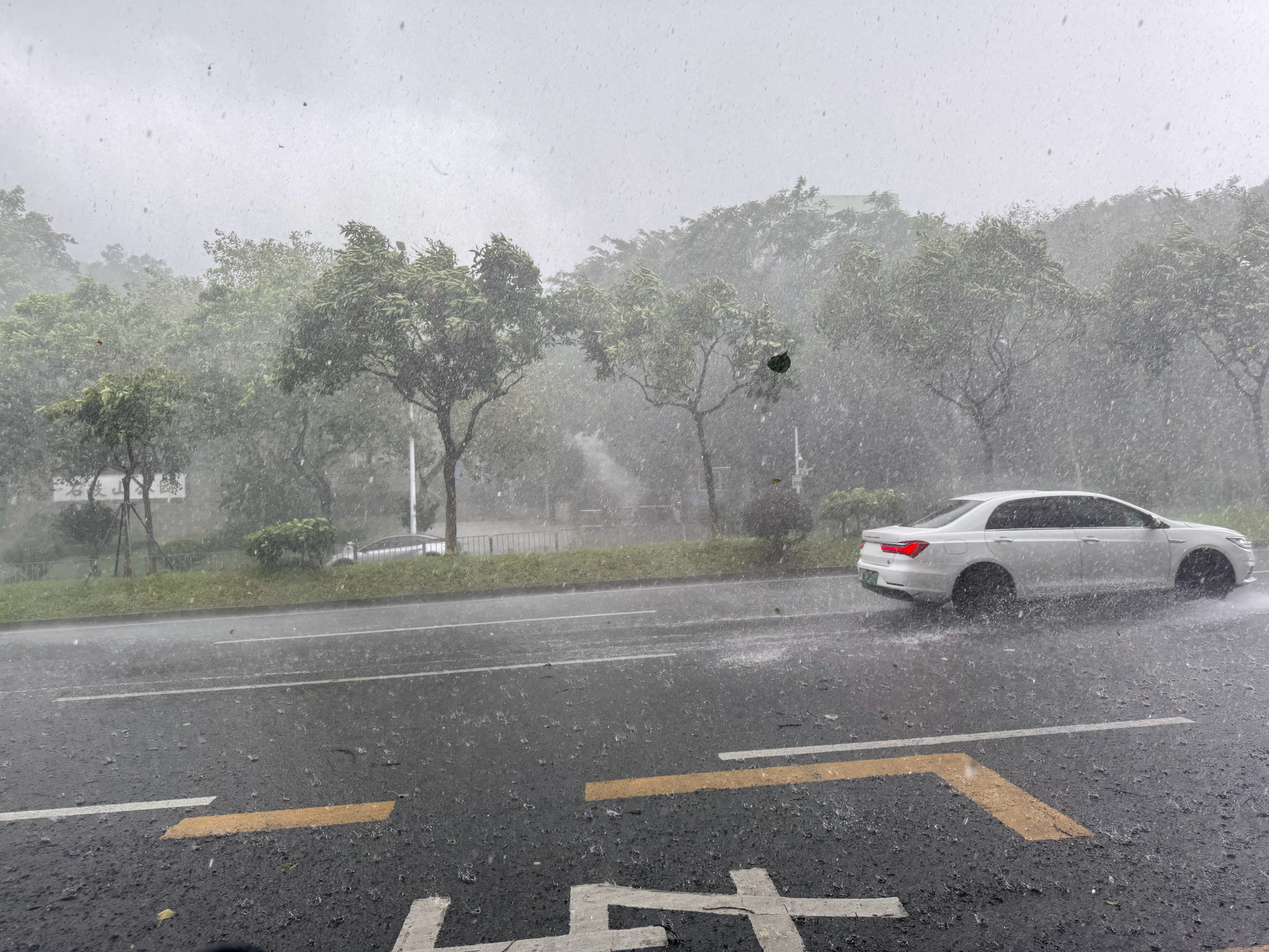 啊？？我球球了 全湿了 