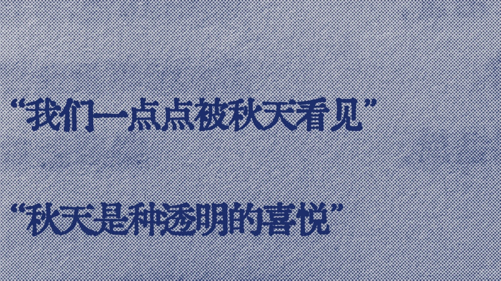 “我们一点点被秋天看见”