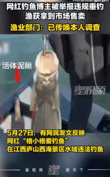 为了流量真是什么事都干得出来！坐拥七百万粉丝的钓鱼界“顶流”女网红，在江西九江庐