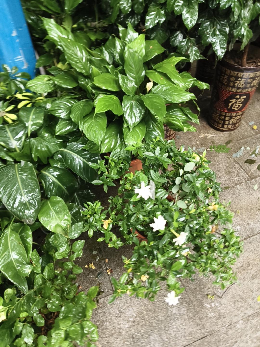 真心话茶局现在我都觉得孩子入这个行，是不是错了？本来孩子去工厂里做flc，一个月