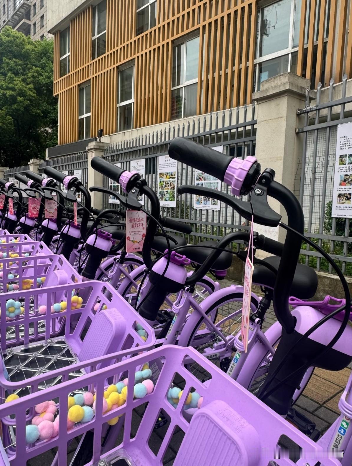 这个春天，连共享单车都太宠武汉了吧！这整齐的限定紫，樱花粉也太好看了吧！